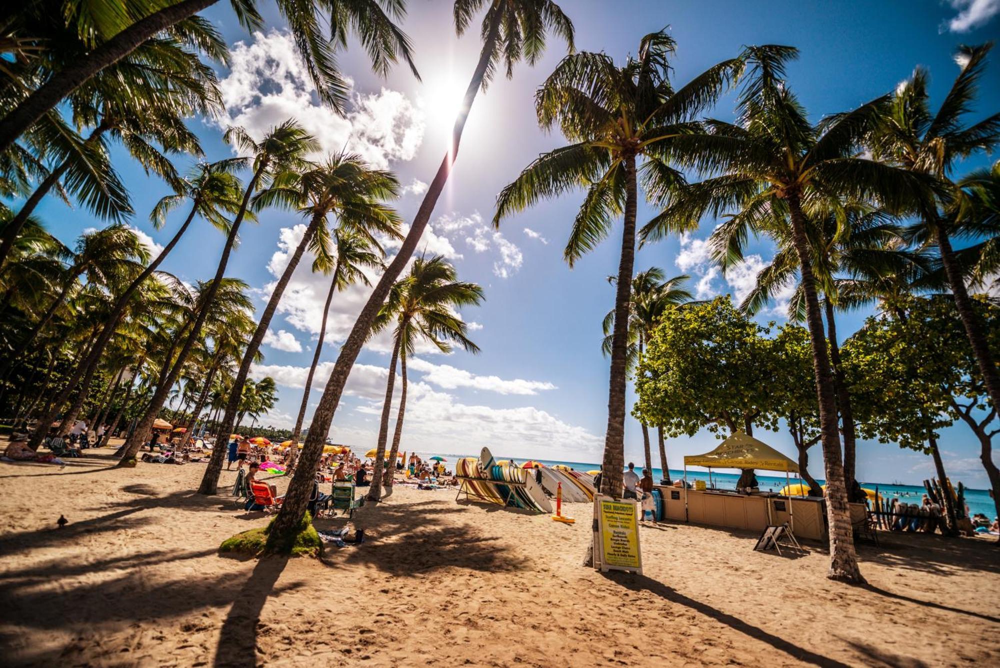 Great Ocean View Condo, Near Beach With Free Parking! Honolulu Exterior foto